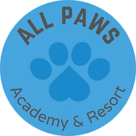 All Paws Academy Resort