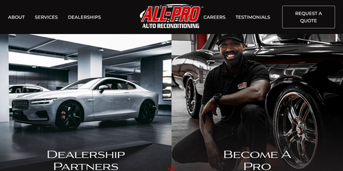 All-Pro Auto Reconditioning