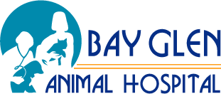 Bay Glen Animal Hospital