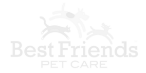 Best Friends Pet Hotel