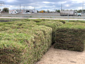 Brad Higgins Landscape Services