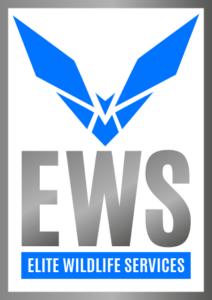 Elite Wildlife Services