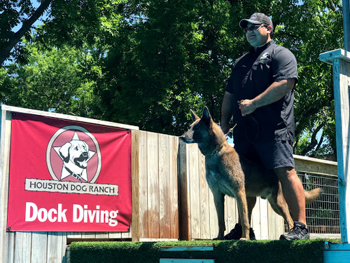 Houston Dog Ranch