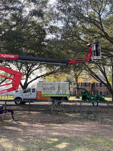 Monster Tree Service of Northwest Houston