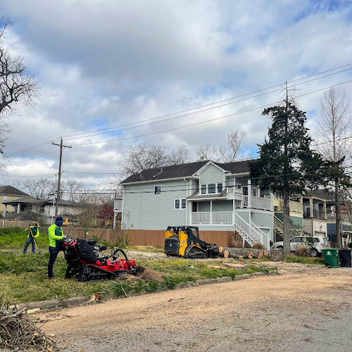 Nature's Tree Removal of Houston