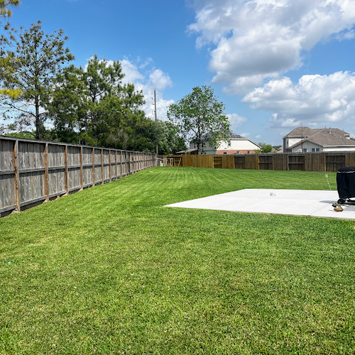 New Green Landscaping