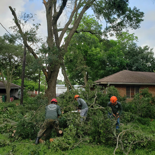 Rf Tree Service