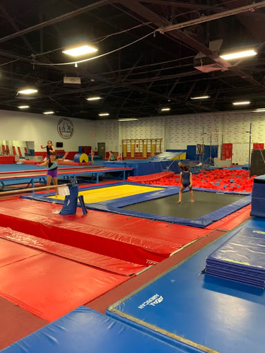 Stars Gymnastics Training Center