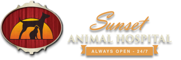 Sunset Animal Hospital