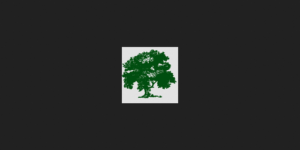The Hanover Company