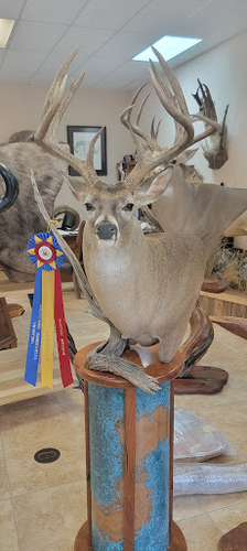 Tri-State Taxidermy