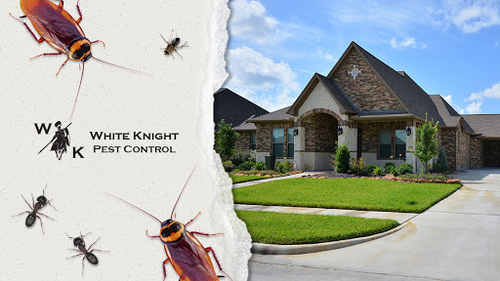 White Knight Pest Control